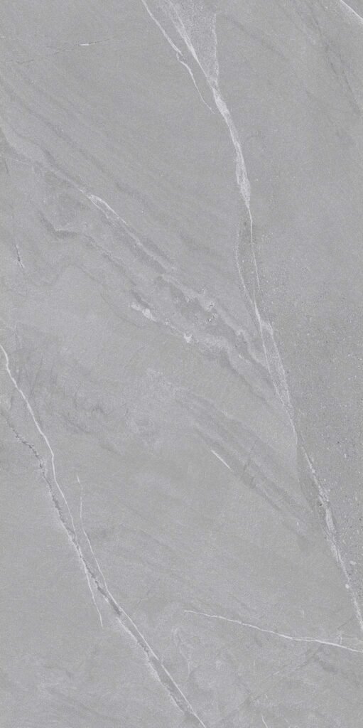 NS Grey 60X120 Mat