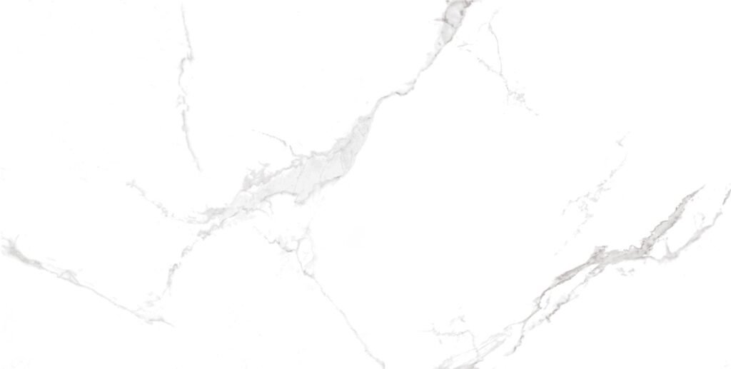 NS Marble 60X120 Lappato